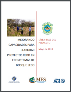 Mejorando capacidades para elaborar proyectos REDD en ecosistemas de bosque seco